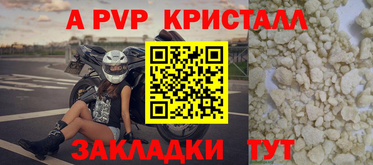 Alfa_PVP СК КРИС Курчалой