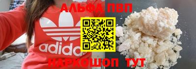 сатива Кингисепп