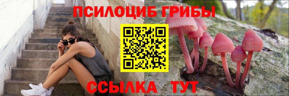Галлюциногенные грибы ЛСД  Вход с VPN  Курчалой  Галлюциногенные грибы Psilocybe 