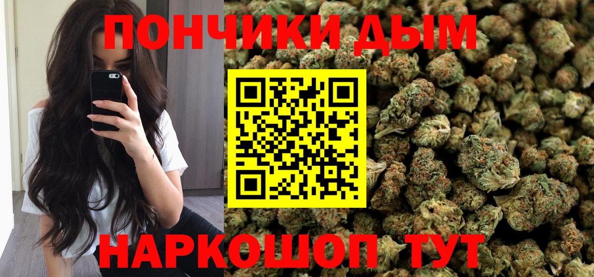 Курчалой  Конопля план  МАРИХУАНА VHQ  Вход с VPN  Шишки марихуана индика 